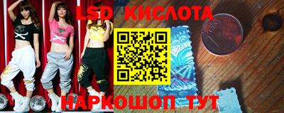 шишки Бузулук