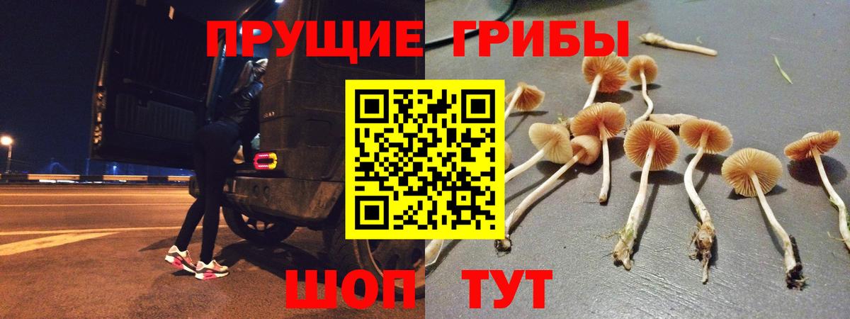 Галлюциногенные грибы прущие грибы Дзержинский